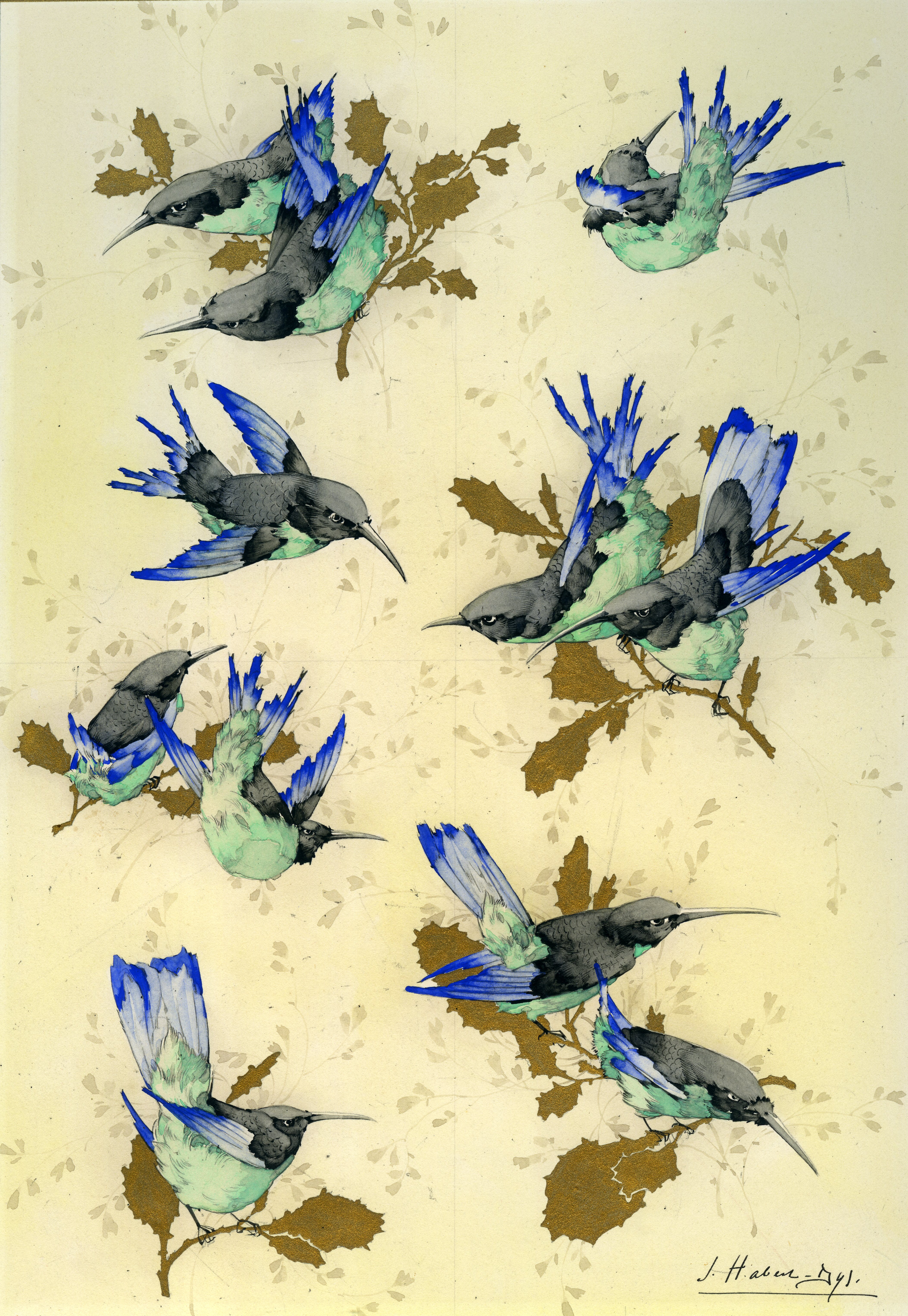 Illustration for Caprices Décoratifs: Oiseaux-mouches [Hummingbirds]